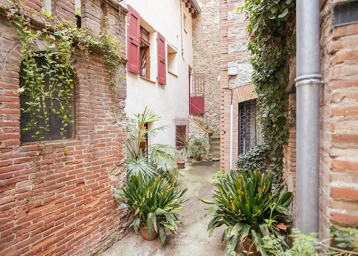 Au Petit Paris, Centre De *